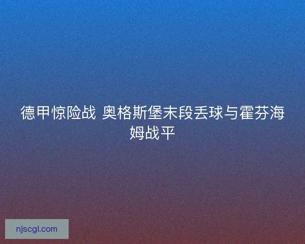德甲惊险战 奥格斯堡末段丢球与霍芬海姆战平